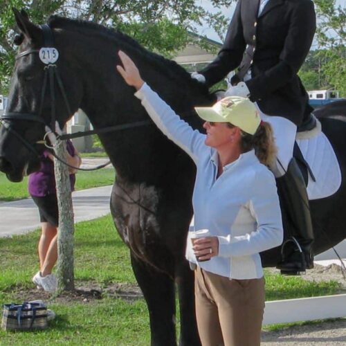 carousel coaching dressage equestrian mindset training nancy later lavoie
