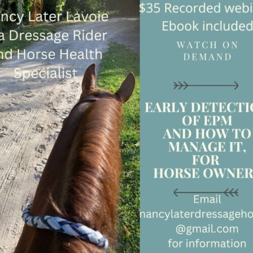 Early Detection of EPM and How to Detect it for Horses