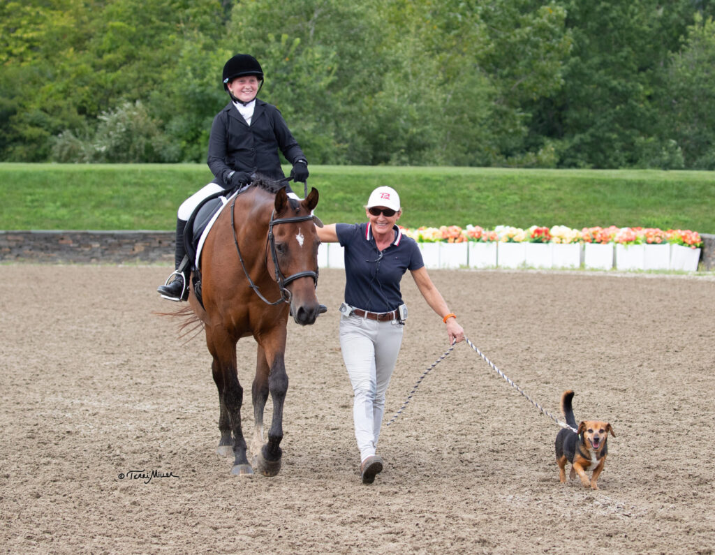 dressage coaching