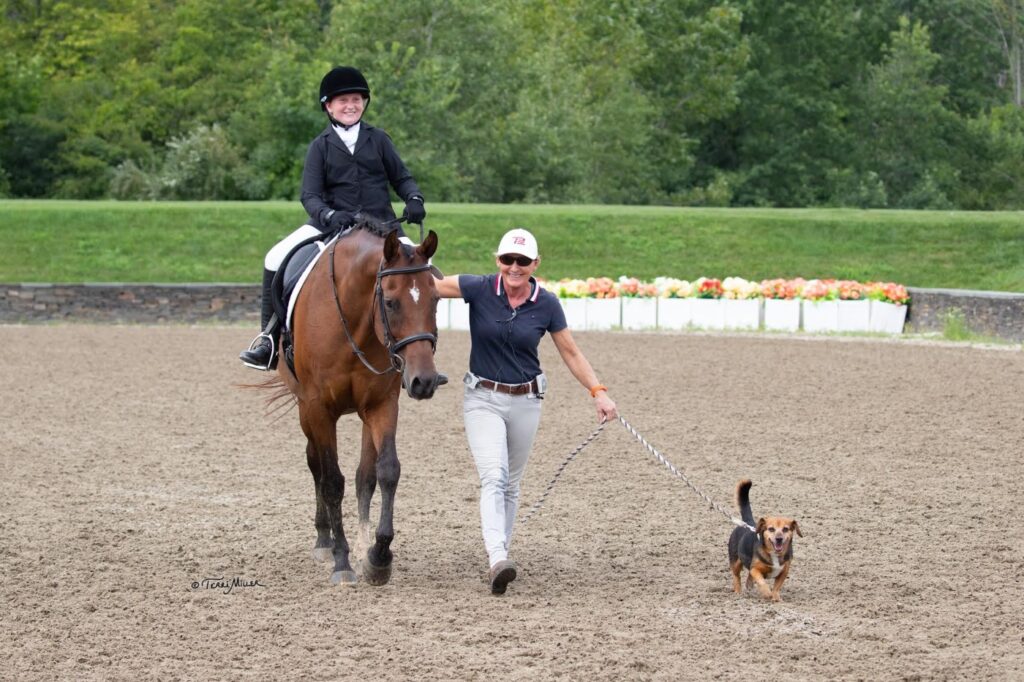 nancy later lavoie dressage equestrian coach trainer