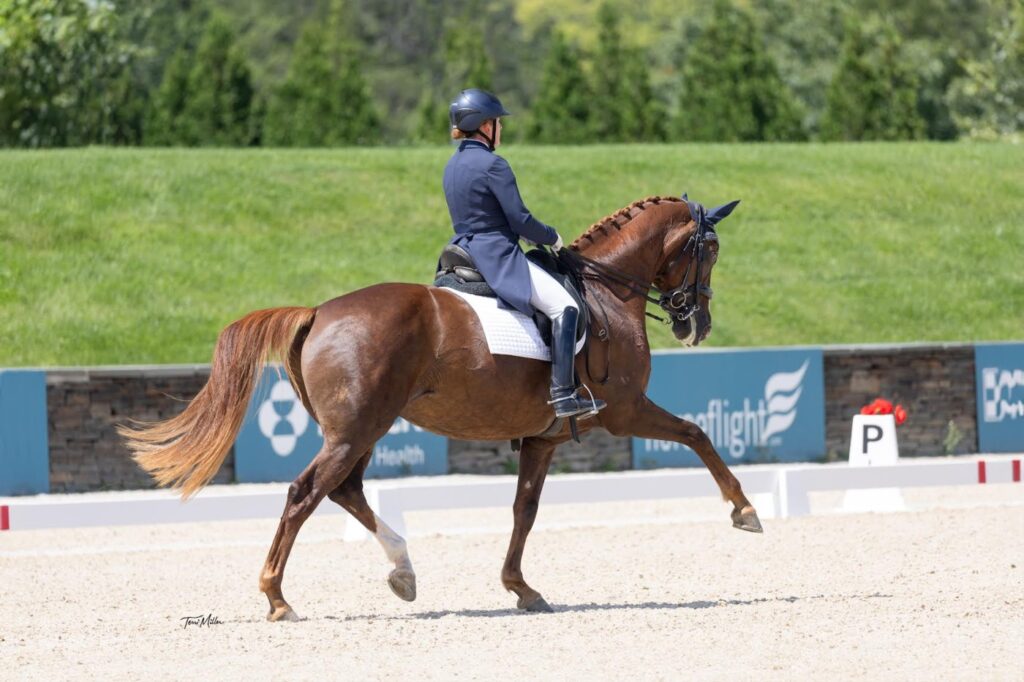 Dressage Training Performance Coaching nancy later lavoie 1